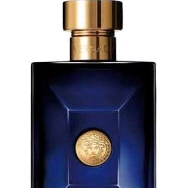 Versace Pour Homme Dylan Blue 100ml